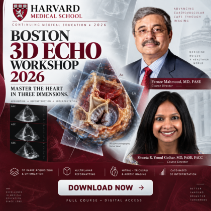Harvard Boston 3D Echo Workshop 2026