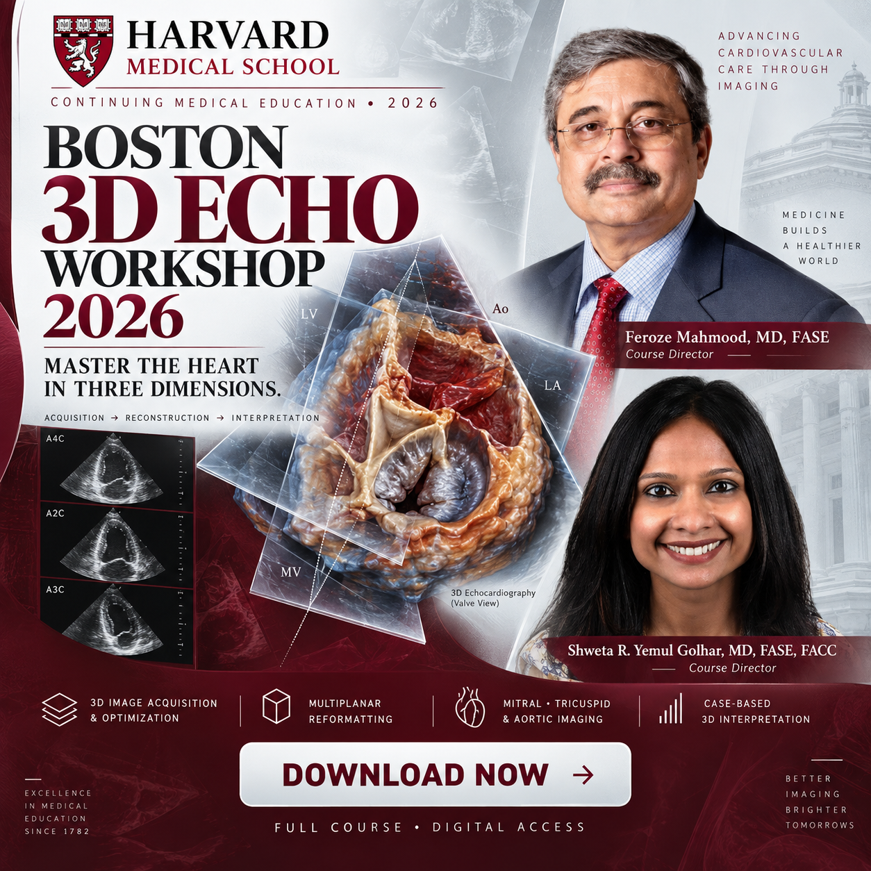 Harvard Boston 3D Echo Workshop 2026